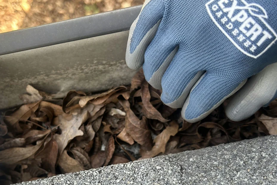 Gutter Cleaning Dublin OH