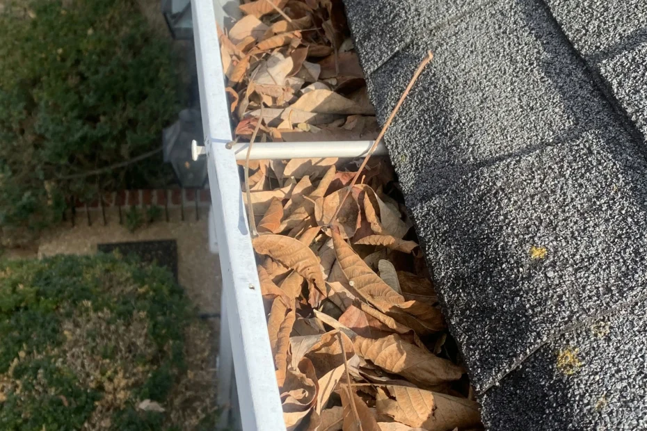 Gutter Cleaning Dublin OH